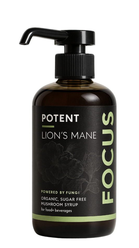 FOCUS | Lion's Mane | 250ml