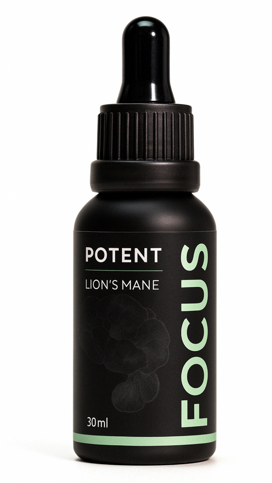 FOCUS Elixir | Lion's Mane |