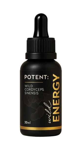 WILD ENERGY | Cordyceps Sinensis | Elixir