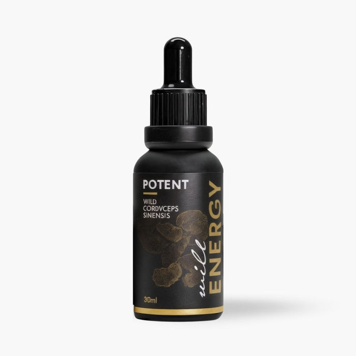 WILD ENERGY | Cordyceps Sinensis Elixir